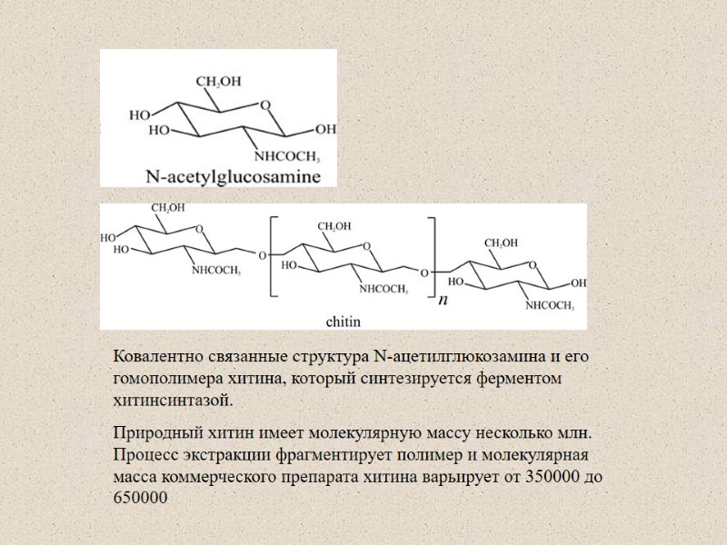 Ковалентно связанные структура N-ацетилглюкозамина и его гомополимера хитина, который синтезируется ферментом хитинсинтазой.  Природный